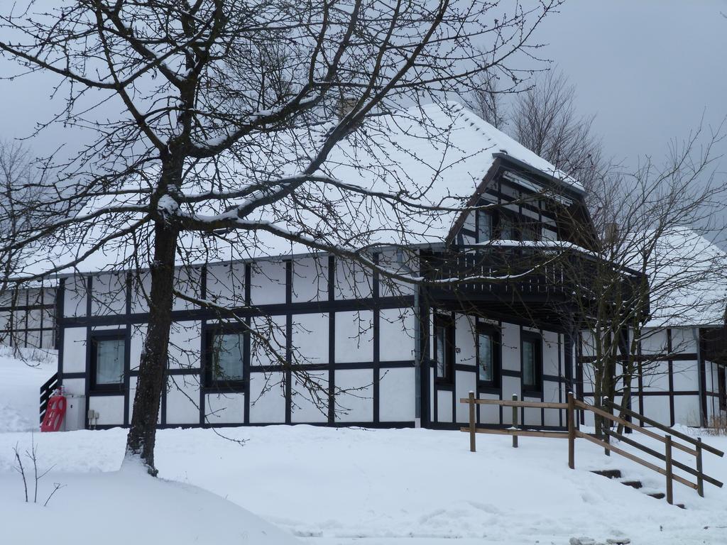 Vila House Of Rootz Frankenau Exteriér fotografie